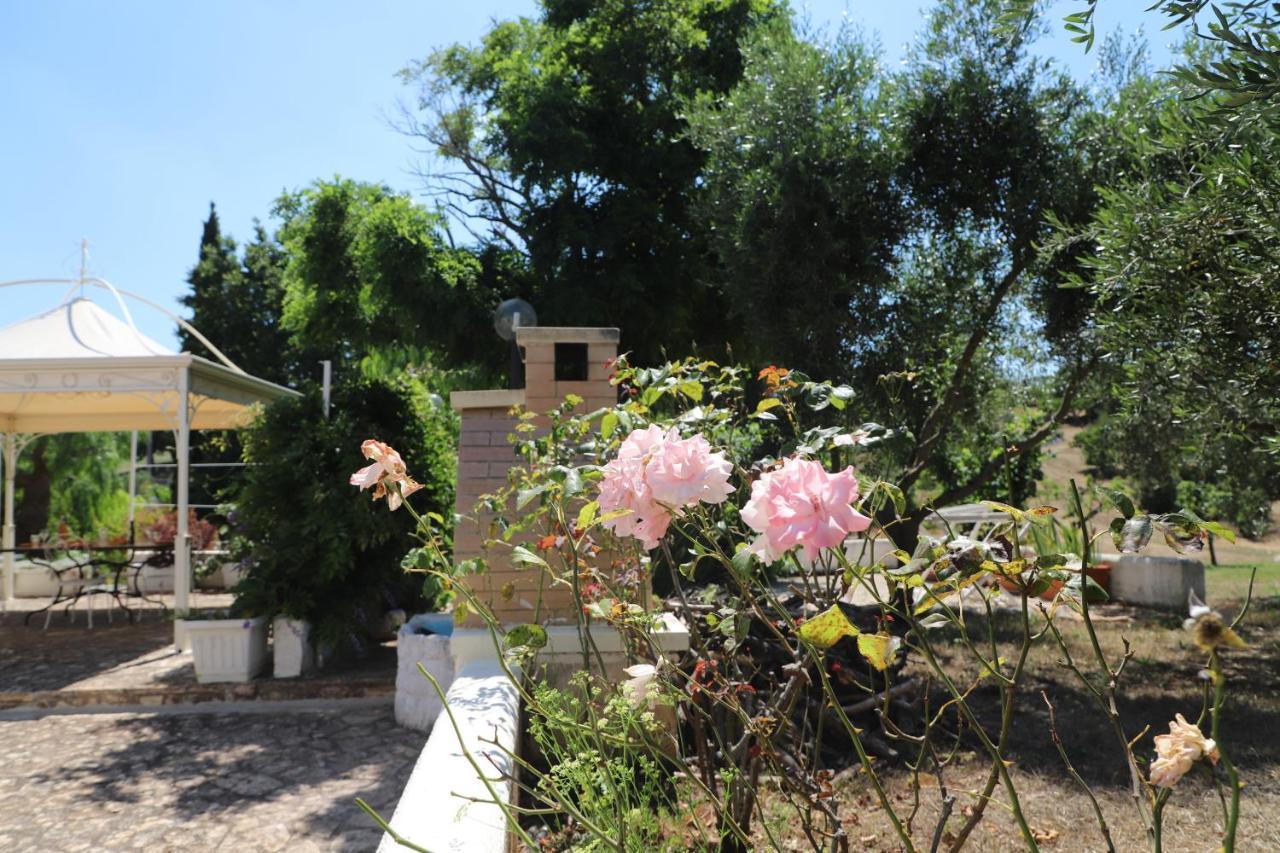 Trulli Anna Holiday home Cisternino